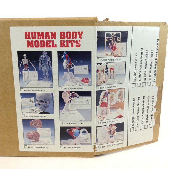 Human Body Science Kit from Educational Insights Kit #EI-2525 Teaching Tool - Picture 12 of 14
